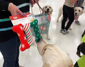 Gift bones